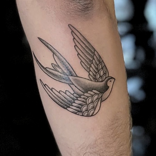 Tattoo Studio Ink & Intuition Tattoo Artiest Cleo Vlaming Traditional Swallow Zwaluw Tattoo