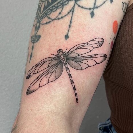 Tattoo Studio Ink &amp; Intuition Tattoo Artiest Cleo Vlaming Dragonfly Tattoo Libelle Tattoo
