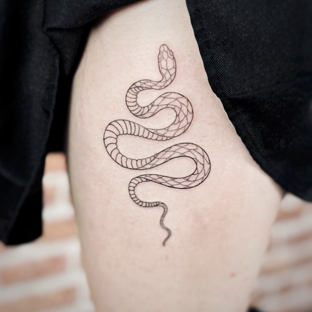 Tattoo Studio Ink & Intuition Tattoo Artiest Cleo Vlaming Snake Tattoo Slangen Tattoo