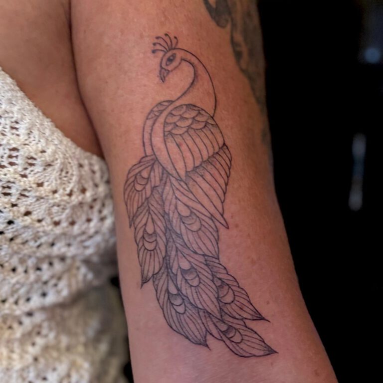fineline peacock tattoo by Cleo Vlaming